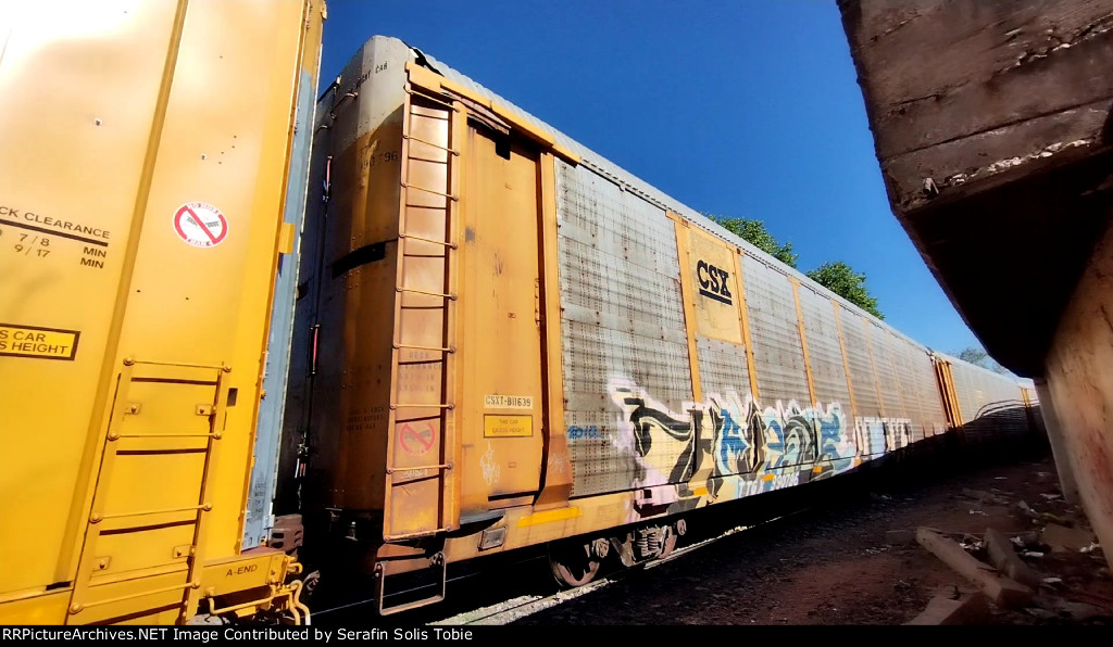 CSX B1639 TTGX 990796 Ex UP